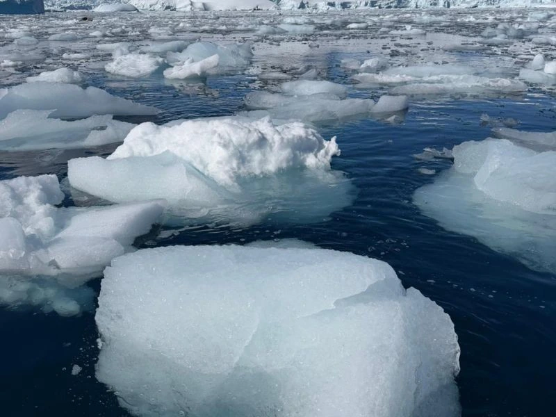 Small pieces of floating ice in the waters of the Antarctic Peninsula